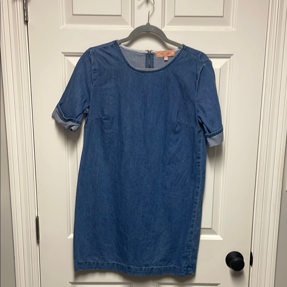 Zip- back Denim Mini Dress